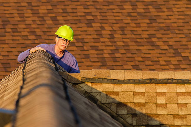 Best Roof Maintenance Services  in Buckhorn, CA